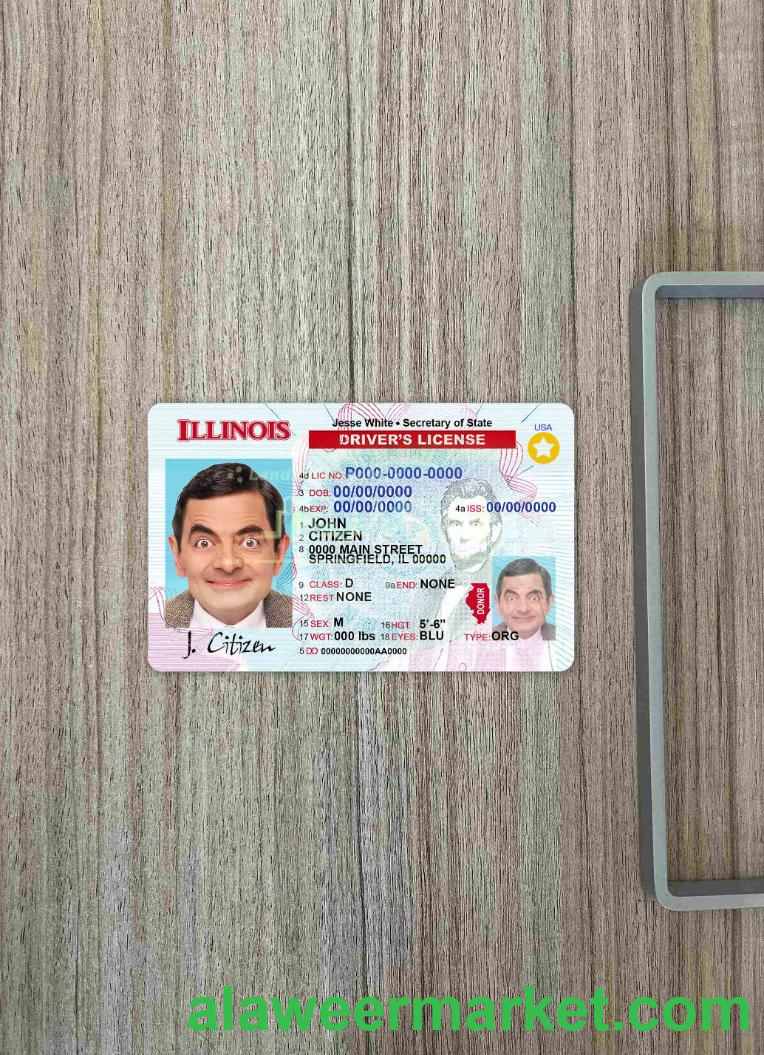 USA Illinois DL photolook FRONT